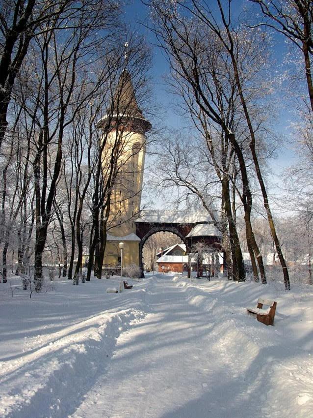 Apartman Buba Palić Exteriör bild